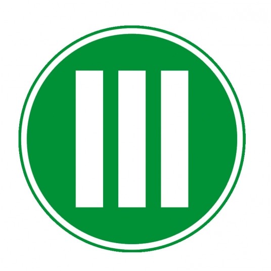 III OZNACZENIE ODBLASKOWE ZIELONE TIR -zdjęcie numer 1
