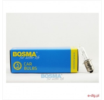 12V 15W PX13,5s H15W HALOGEN