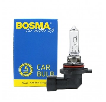 12V 55W HIR2 PX22d