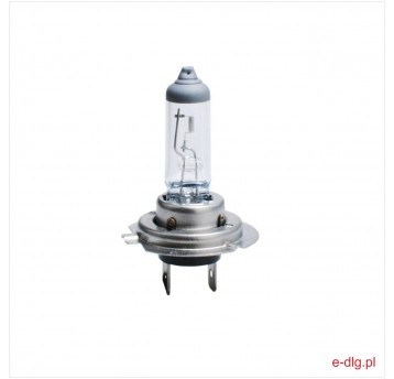 24V H7 70W PX26D ŻARÓWKA EagleEye