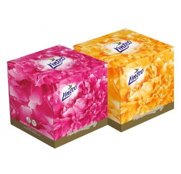 CHUSTECZKI HIG LINTEO SATIN A 60 KARTON/24