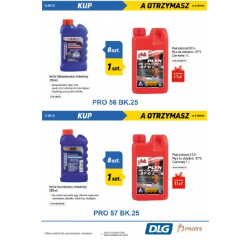 HOLTS USZCZELNIACZ 8szt + 1szt AUTORAD 1L PŁYN