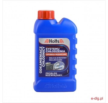 ODKAMIENIACZ CHŁODNICY 250ML HOLTS