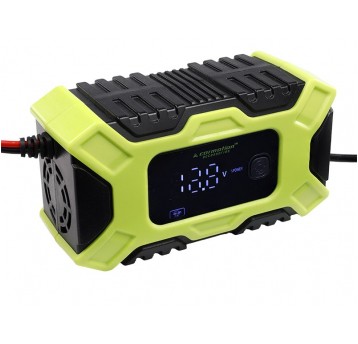 PROSTOWNIK 12V 6A 2-100Ah