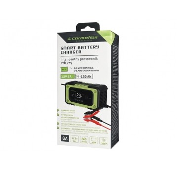 PROSTOWNIK 12V 6A 4-120Ah