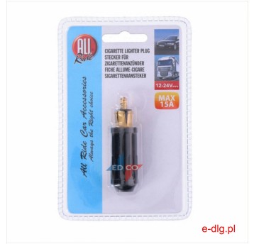 WTYCZKA DC 12/24V 15A (12)